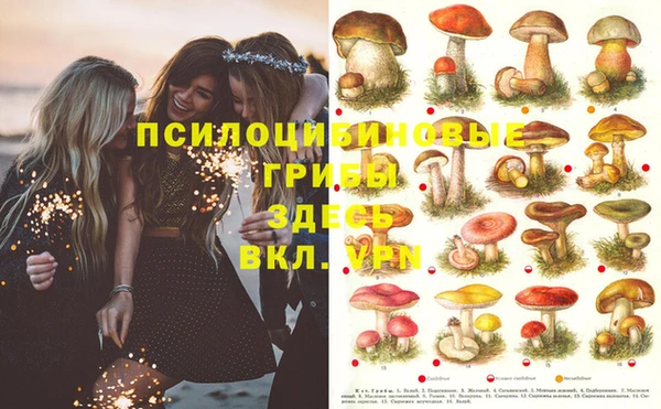 мдпв Баксан