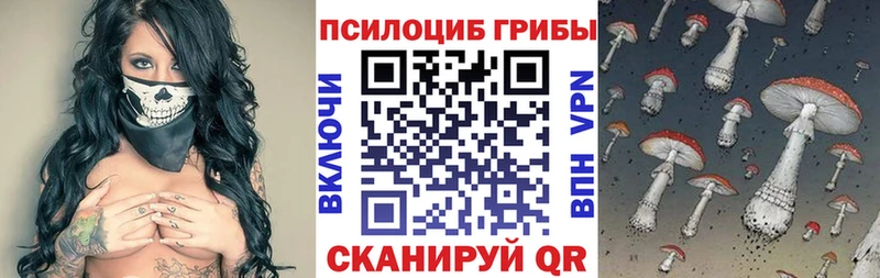 дарнет шоп  Унеча  Галлюциногенные грибы GOLDEN TEACHER 